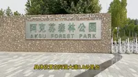 阿克苏森林公园一日游