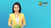 第九届冀鲁豫·莘县（董杜庄）西瓜节开幕啦！