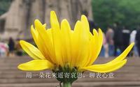 【南京雨花台风景区雨花台烈士纪念碑】“忆苦思甜”公益活动