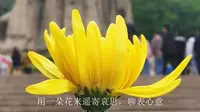 【南京雨花台风景区雨花台烈士纪念碑】“忆苦思甜”公益活动
