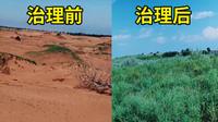 中国治沙奇迹的背后，都有哪些“黑科技”？呼和浩特蒙草育种中心有答案|内蒙古旅游攻略
