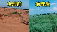 中国治沙奇迹的背后，都有哪些“黑科技”？呼和浩特蒙草育种中心有答案|内蒙古旅游攻略