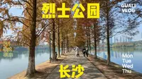 现在就是长沙烈士公园最美的季节，逛公园真的令人幸福