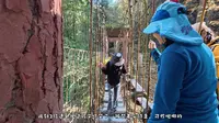 重庆江津四面山爬山徒步 | 13.14km拿奖牌 | 景色还是挺好的 | 亲子路线