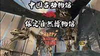 中国古动物馆/保定自然博物馆：新年逛馆之旅～