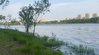 沈阳浑河边的晚渡公园