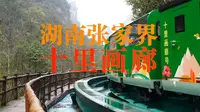 湖南张家界，乘小火车观赏高山入云的“十里画廊”