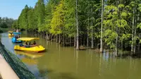 崇明西沙明珠湖景区逛逛，大家觉得环境如何