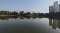 2025年元旦的汝水森林公园风景独好!