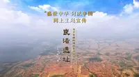 《了不起的文明遗存》系列国风动画——良渚遗址