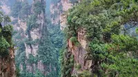 乾坤柱·阿凡达悬浮山