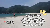 徒步天花板路线！麦理浩径Vlog全记录