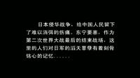 国际博物馆日：回首战争 珍爱和平——东宁市要塞博物馆
