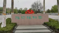 下午没下雨，五点多去了潍坊植物园，风景可以，但蚊子挺多！