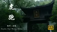 杭州丨虎跑梦泉：治愈人心的绿野烟雨丨4K