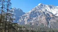 丽江玉龙雪山，云杉坪风景区有多美看了就知道