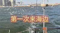 秦皇岛研学1/金梦海湾（第一天）
