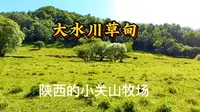 免费景区大水川，原生态草甸牧场，清凉舒爽的休闲露营地