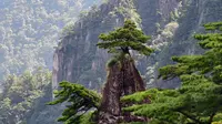 黄山美景——梦笔生花