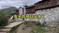 西藏最大天葬台直贡梯寺，看天葬被赶出来了！