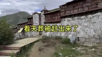 西藏最大天葬台直贡梯寺，看天葬被赶出来了！