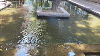 全邯郸最火爆、投资20多亿打造的江南风情古镇——涉县赤水湾古镇