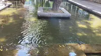 全邯郸最火爆、投资20多亿打造的江南风情古镇——涉县赤水湾古镇
