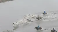 将军泡子马踏水花
