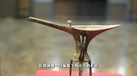 【2025 】二里头夏都遗址博物馆（ 河南·偃师 ）【云游直播回放】-溜达搬运