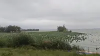 国庆假期去了单县浮龙湖景区