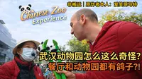 爱尔兰爱笑哥马特第一次逛武汉动物园！动物太奇怪了…讲价失败还找不到熊猫！