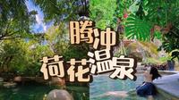 腾冲最推荐的荷花温泉以及踩雷银杏村！退旅31