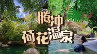 腾冲最推荐的荷花温泉以及踩雷银杏村！退旅31