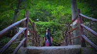 山西云丘山景区踩雷，给大家做个参考。