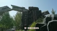 仙翁山树化石森林公园，木化石时间久远，见证历史的奇迹