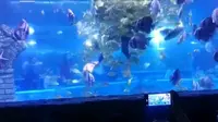 天津文化中心海底世界