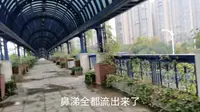 小伙带你看看长沙浏阳河婚庆文化园，一个以婚庆为文化园的场所