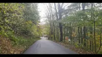 吉林省三角龙湾景区  摆渡车实景