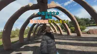 88.东北26：中国恐龙之乡嘉荫县，恐龙博物馆里有什么看头？