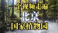一个视频，走遍北京国家植物园！欣赏植物王国的每一处风景！