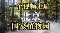一个视频，走遍北京国家植物园！欣赏植物王国的每一处风景！