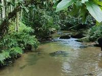 广州从化，南平静修小镇