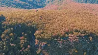 北京百花山（航拍） 震撼挺拔的北方大山 很少有人去的国家级自然保护区。