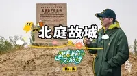 【俞敏洪】#俞你同行 新疆之北疆之旅丨北庭故城