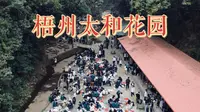 【打卡梧州】一代人的青春～《太和花园》