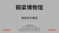 铜梁博物馆_铜梁龙灯展览_MUS043D