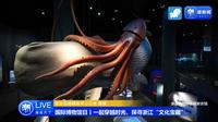 【 2024】浙江自然博物馆安吉馆（ 浙江·安吉 ）【云游直播回放】-溜达搬运