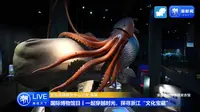 【 2024】浙江自然博物馆安吉馆（ 浙江·安吉 ）【云游直播回放】-溜达搬运