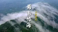 蜀南竹海｜卧虎藏龙的云海竹山