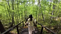 [3]走蘑阿公路，从柴河到阿尔山